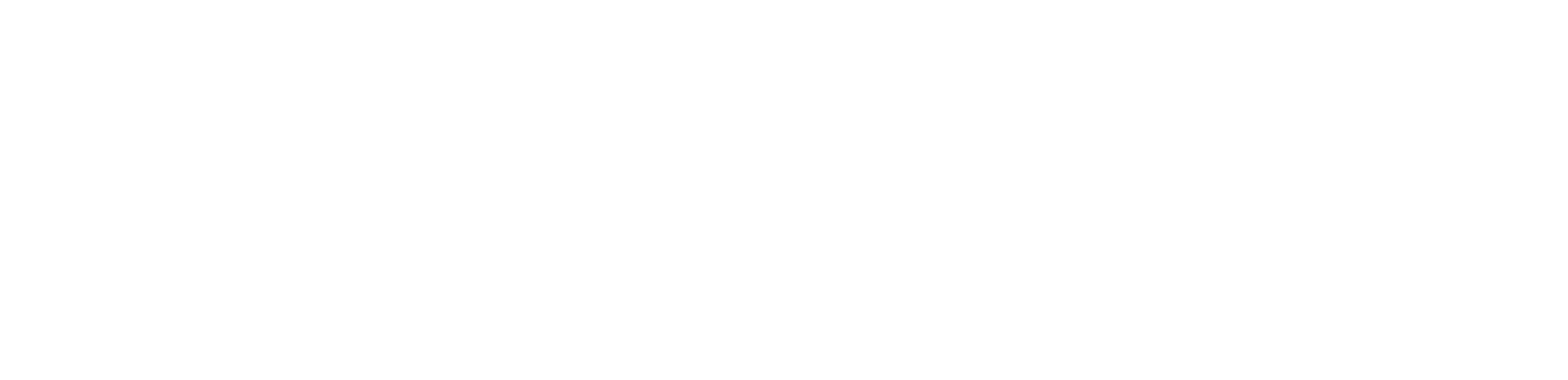 WCS Mobile Technik